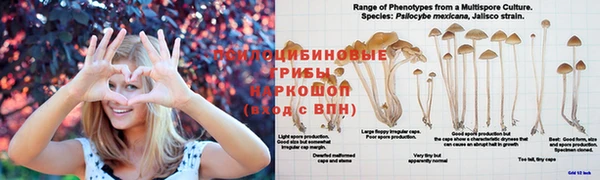 прущий лед Алзамай