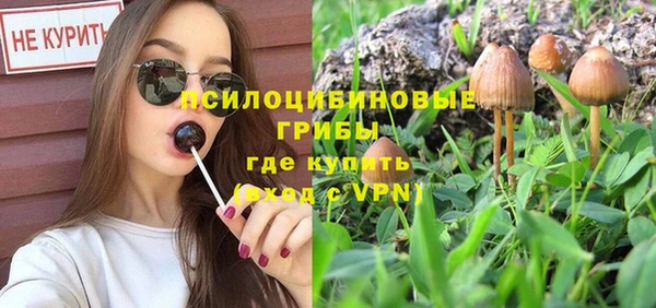 прущий лед Алзамай