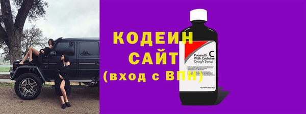 прущий лед Алзамай