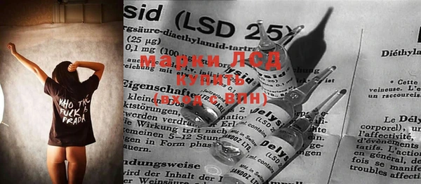 прущие крисы Абаза