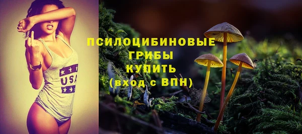прущие крисы Абаза